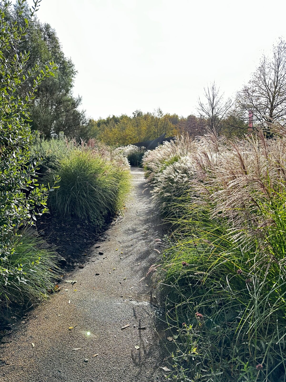 Inspiration in a damp climate