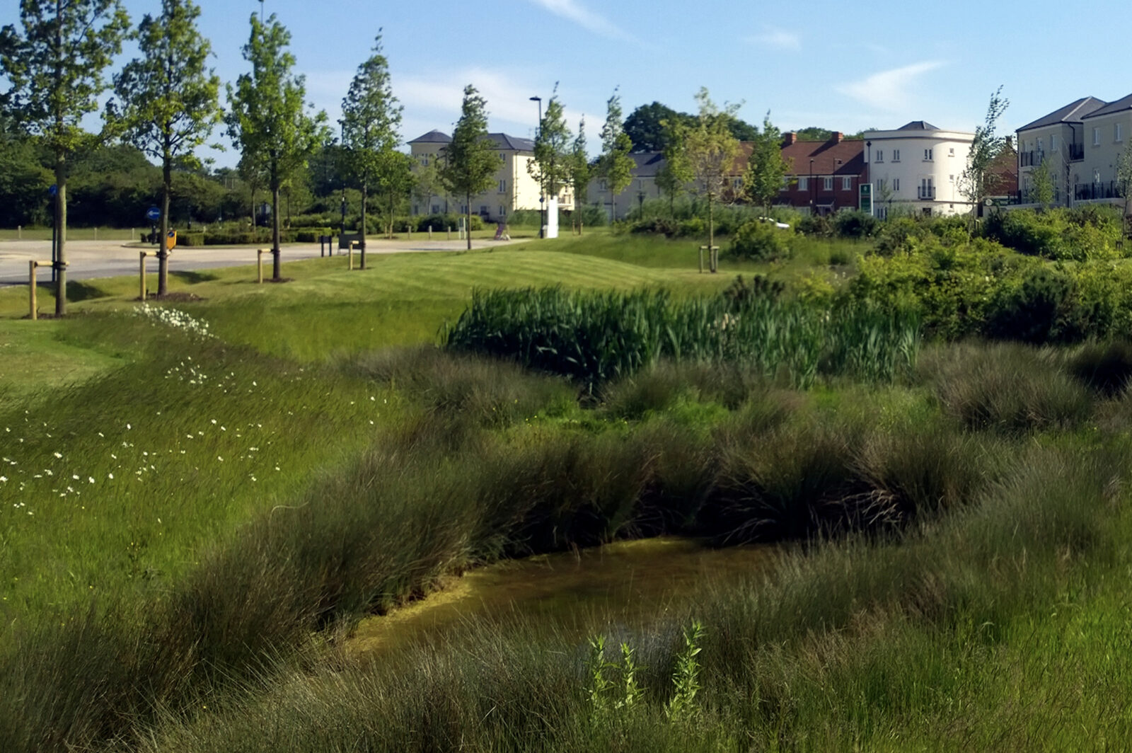 Climate resilient planting