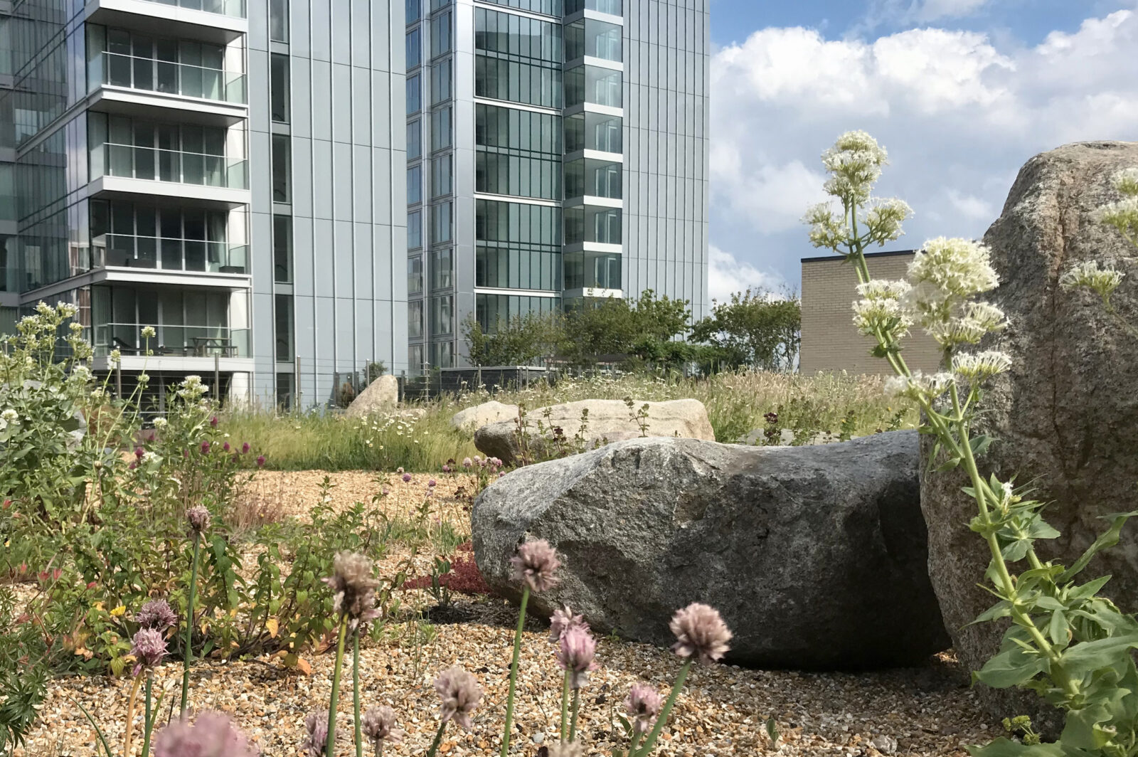 Climate resilient planting