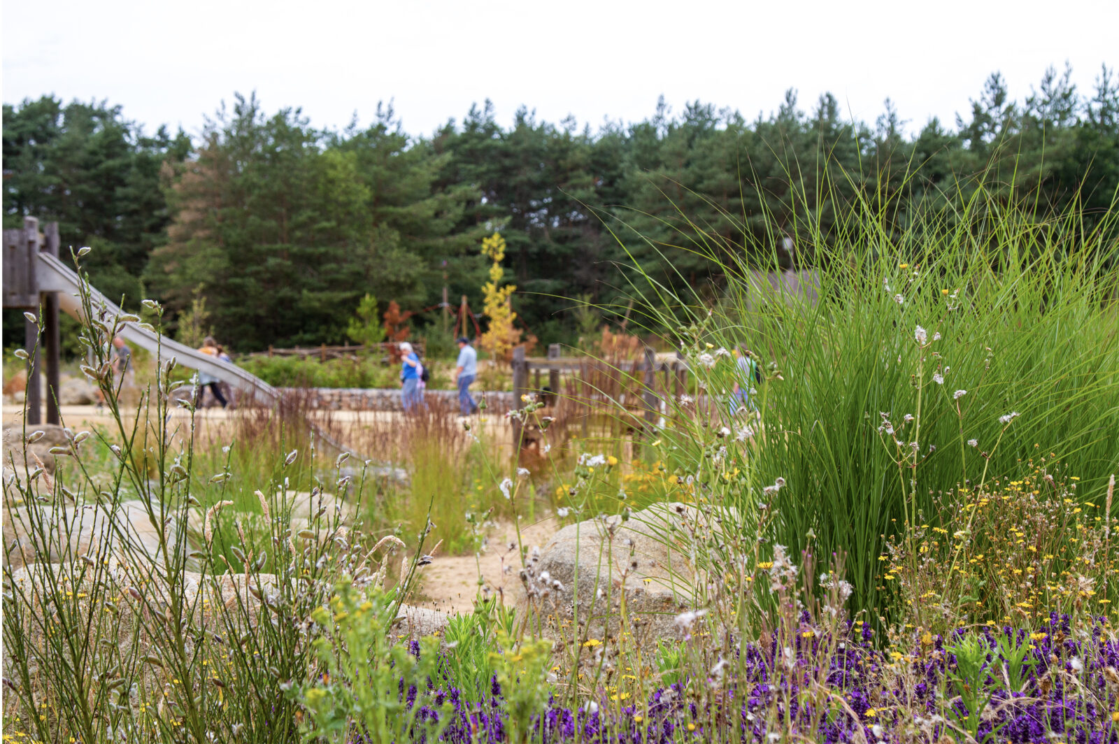 Edenbrook revisited