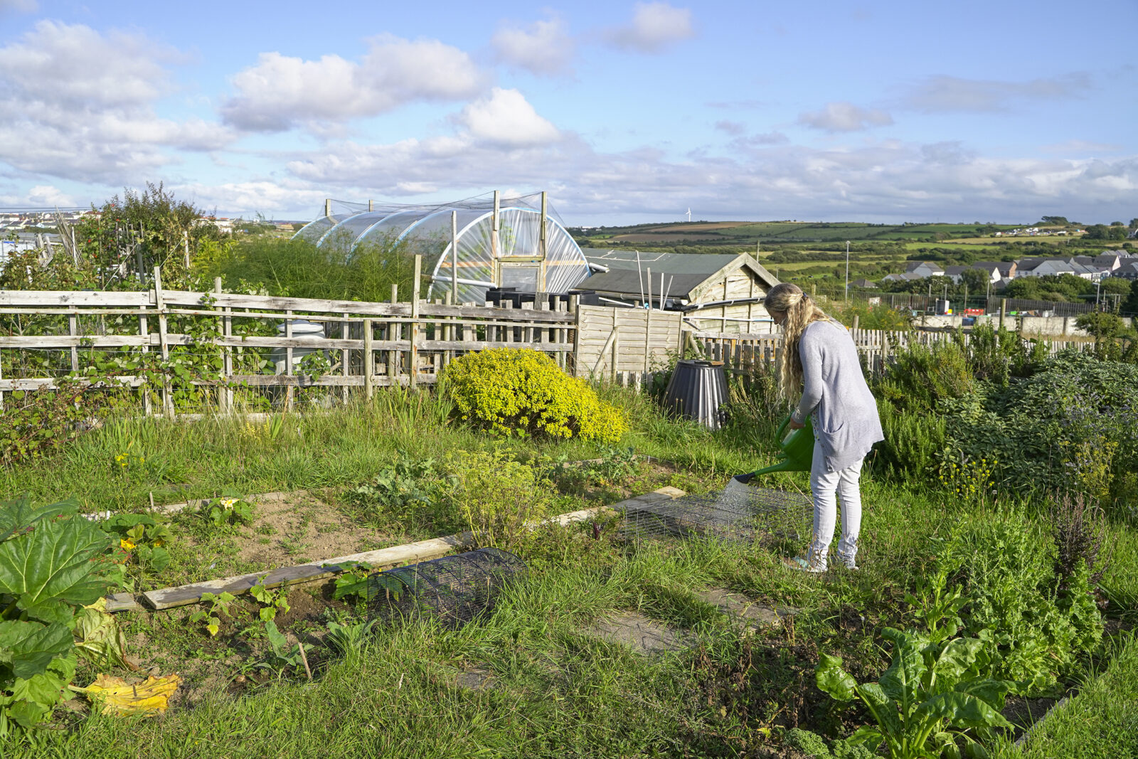 VIPs visit Nansledan