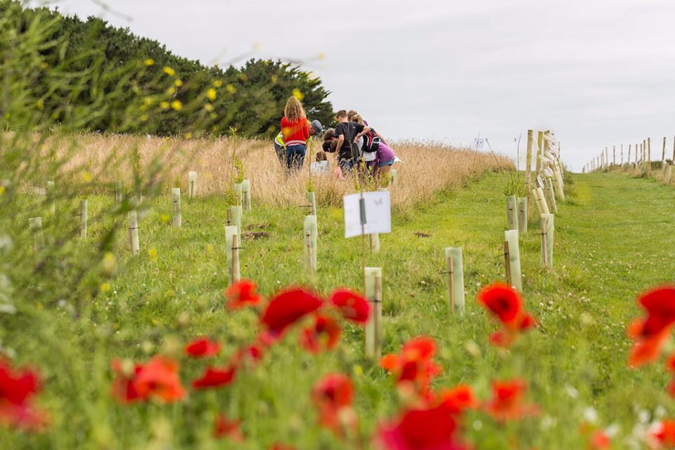 VIPs visit Nansledan
