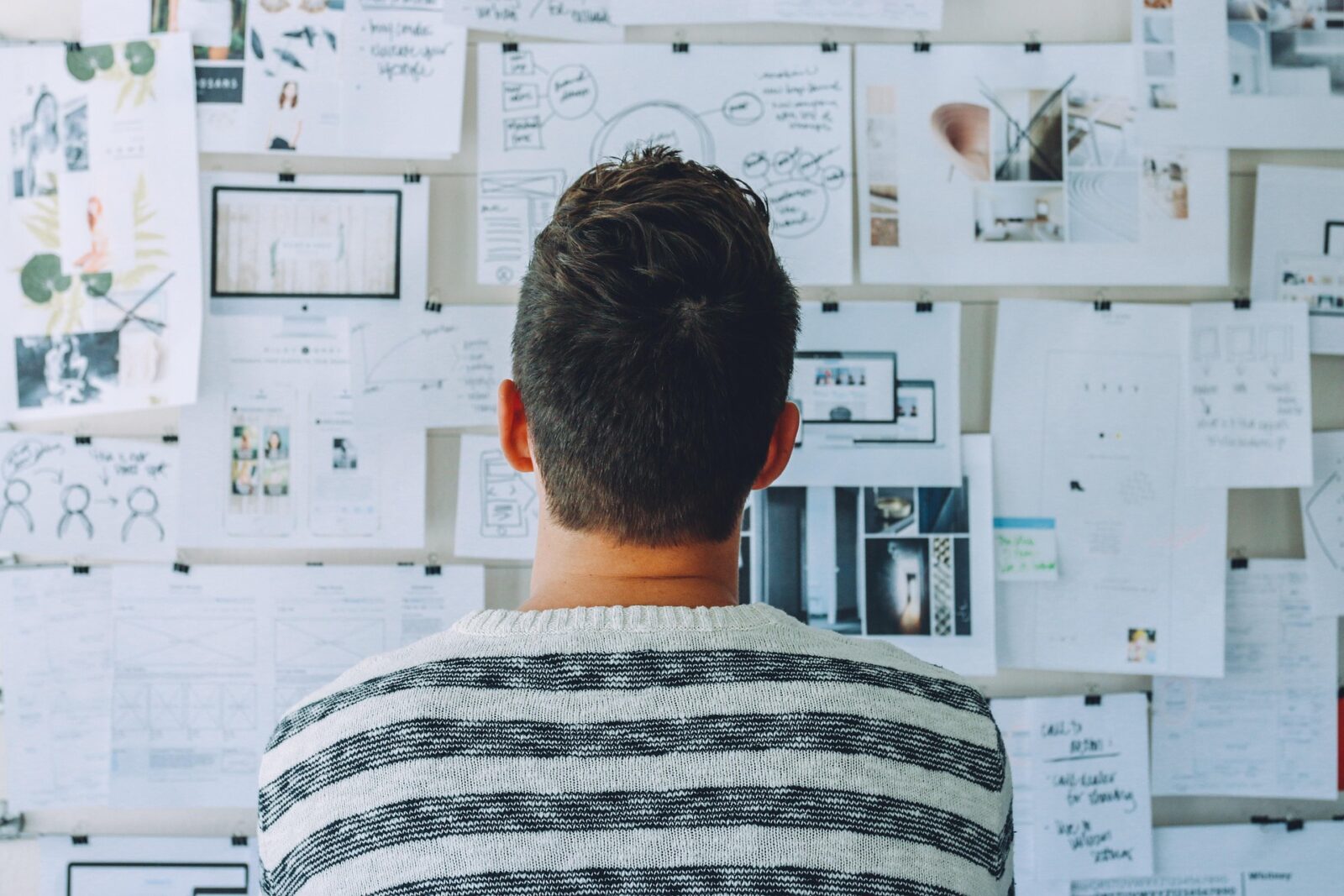 From university to professional life